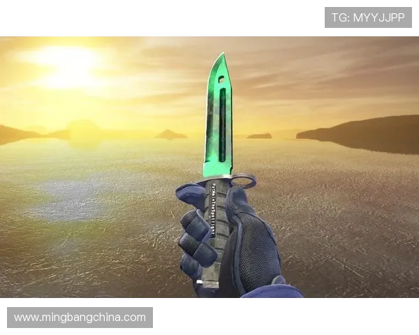 CSGO战术解析：深入探讨JDG如何实现整体压制与团队协作