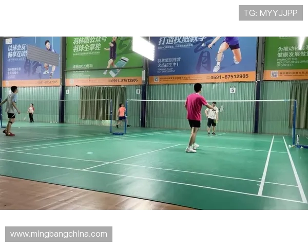 上海羽毛球队的秘密掌控与深度分析探讨