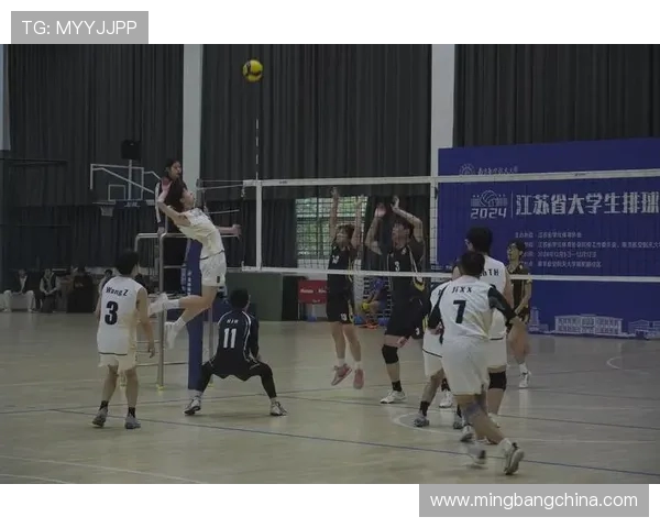 南京排球队在全国锦标赛中的灵活性表现与战术创新分析