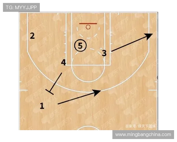 杭州排球队包夹战术解析与实战应用探讨