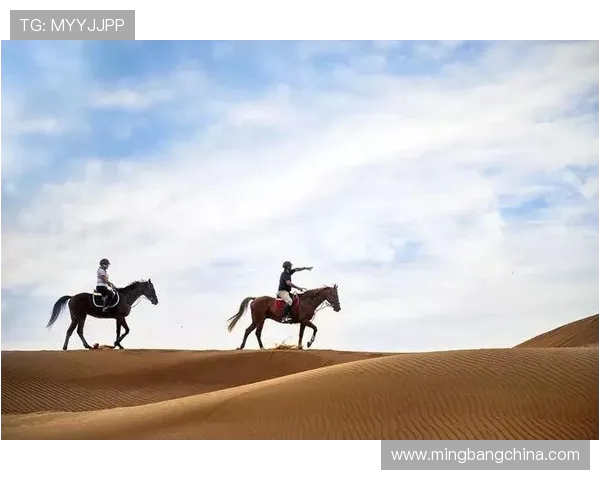 深圳极限运动队荣登全国运动节奏排行榜第六位引发热议 深圳极限运动队荣登全国运动节奏排行榜第六位引发热议