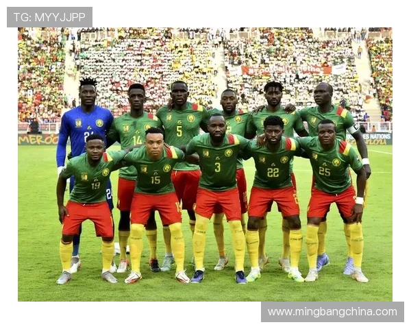 巴西队与塞尔维亚首发阵容分析及比赛前瞻