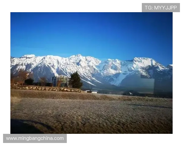 德国与奥地利足球比赛直播频道及观看指南详解