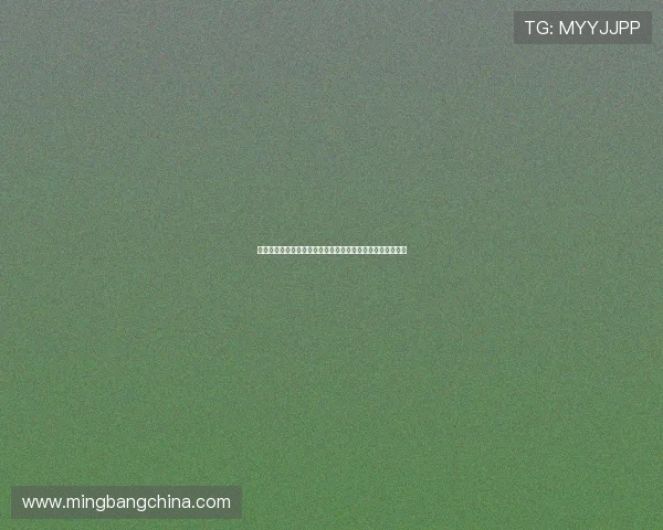 李禄的传奇人生与历史地位探讨：从文人到政治家的蜕变之路