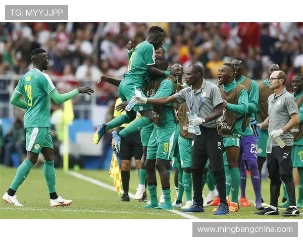 波兰与塞内加在2020年对抗赛中的精彩表现与战术分析