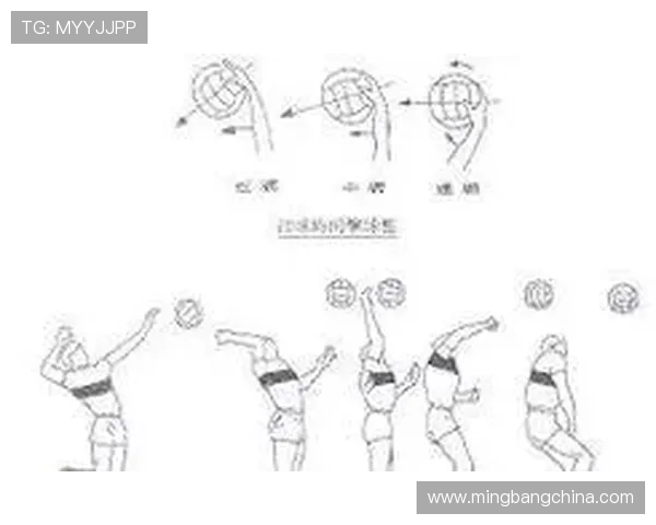 成都排球队的阵地战策略与技术解析深度剖析排球运动的魅力与挑战