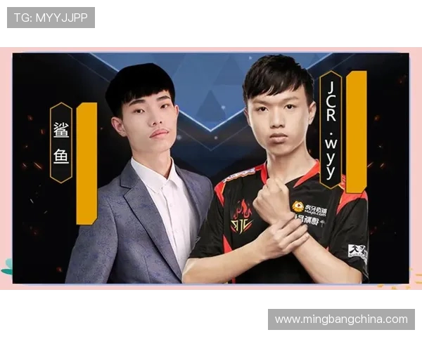 权威发布：和平精英个人能力实力榜单全面解读与分析