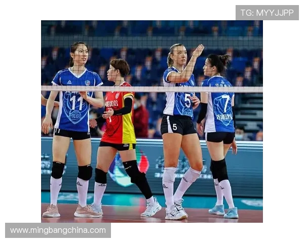 上海排球队转型之路的挑战与机遇选拔赛特别报道 上海排球队转型之路的挑战与机遇选拔赛特别报道