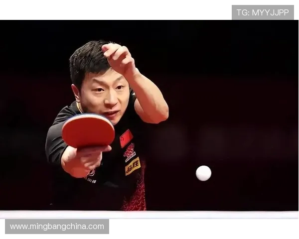 乒乓球传奇刘秀英的成长与奋斗历程深度对话