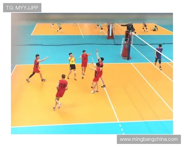 北京排球队在世界杯中的速度表现分析与点评