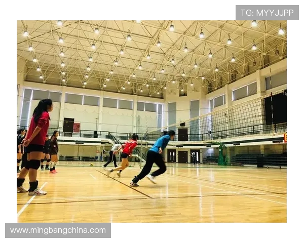 杭州排球队耐力之争引发热议球迷与专家各执己见