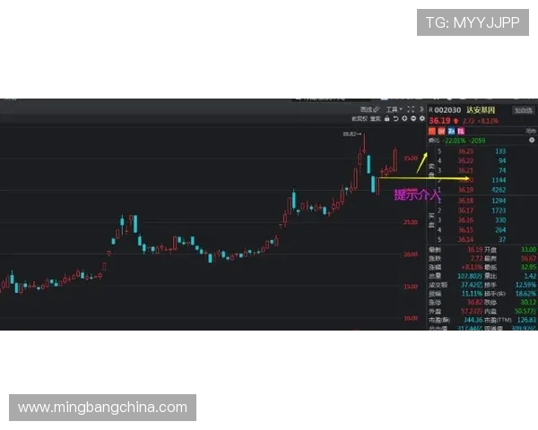 武汉极限运动队与南京极限运动队赛后复盘分析比赛节奏与策略对比