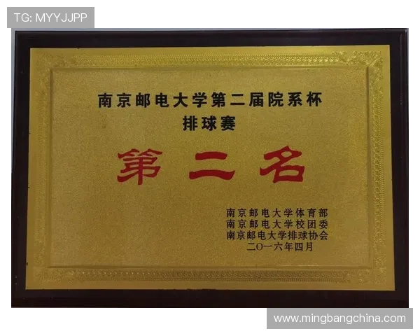 深圳排球队在全国排球比赛经验排行榜中荣获第九名的荣耀成就分析